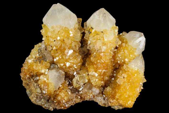 Sunshine Cactus Quartz Crystal Cluster - South Africa #122365